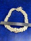 Bold Seashell Strung Shells Lei Luau Hawaii Ribbon Tie Souvenir Necklace