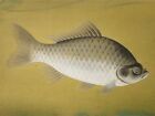 Japanese Painting Hanging Scroll From Japan Crucian Carp Antique Old Art F092