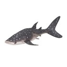 Whale Shark Realistic International Wildlife Hand Painted Toy Figurine