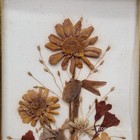 Vintage 1970 s Reichlin Switzerland Pressed Dried Flowers Art Gold-tone Frame