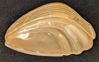 Vintage Art Deco Markel Lighting Batwing Glass Slip Shade