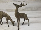 Set Of 2 Vintage Mid Century Solid Brass Buck And Doe Deer Statues Figurines