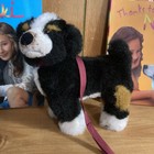 American Girl Nicki Fleming Lot Books Service Dog Sprocket Goty 2007