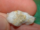 16to1 Mine Gold Quartz Specimen 2 78 Gram California Gold And Quartz