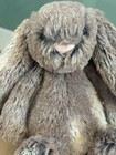 Jellycat Small Bashful Woodland Bunny In Excellent Condition