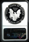  2019-w S 1 American Eagle 1 Oz Ngc Pf 70 Ultra Cameo Top Pop R3 Highest Grades 
