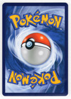 Chinese Pokemon Card - Rainbow Boarder Bubble Cards - 9 Card Lot - Eeveelutions