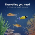 Aqueon 10 Gallon Aquarium Starter Kit - Smart Clean Filter Led Light