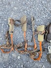 Vintage W m bashlin Climbing  Lineman  Logging Gear Belt 4 Leg Spikes Collector