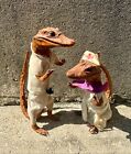 Vintage Baby Alligator Doctor Nurse Taxidermy Lot