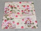 Vtg 80   s Strawberry Shortcake Gift Trims Tags Bow Ribbon Wrapping Paper Lot