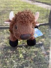 Ganz Webkinz Plush Hm336 Buffalo New With Sealed Code