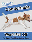 Disposable Male Dog Diapers  Super Absorbent Male Dog Wraps For Small To Large D