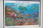 Us 2004-2006 Collection Of 500  Mnh Stamps Stored In White Ace Album