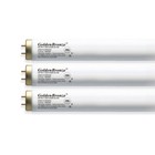 Tanning Bed Bulbs Wolff Goldenbronze Fr71  Bi-pin T-12 100 120 Watt - Reflector