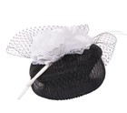 Something Special Sinamay Pill Box Fascinator With Mesh Netting   Quill   Flower