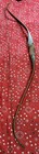 Robertson Stykbow Peregrine Mossyhorn Right Hand Recurve Bow 60  66 
