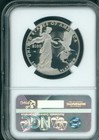 2015-w  100 Platinum Statue  Liberty 1 Oz  Ngc Pf69 Proof Pr69 Early Releases Er