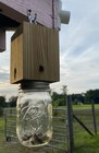 A Pair Of Paw Paw   s Pressure Treated Carpenter Bee Traps Free Shipping 