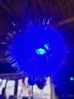 New 4   -5    Pufferfish Lamp W color Changing Led Tiki Bar Smokin Tikis Oceanic