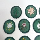 Lot Of 14 Girl Scouts Patches   Scout Merit Badges - Unused