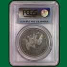 1840 Pcgs Genuine Seated Liberty Dollar Au Almost Uncirculated Coin  Cleaning