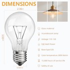 100 Watt Incandescent Light Bulbs  A19 Clear Incandescent Rough Service Light 4