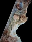 Xl Mind Blowing Birdseye Maple Burl Wood Blank  Live Edge Curly Maple  Ambrosia 