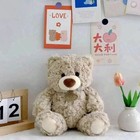 25cm Bear Plush Toy Hug Bear Dolls Children Birthday Gift Pillow Teddy Bear Home