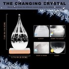 Storm Glass Weather Station     Elegant Drop-shaped Crystal Barometer  Perfect    