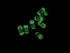 Moose Series 2 Mighty Beanz- Rare Glow In The Dark Beans 2003- Choose A Bean