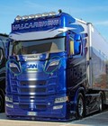 Scania    Ng  S r  2017 Up    Swords Chrome   Polished Stainless Steel 2 Pieces 