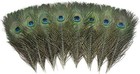 12 Pcs Real Natural Peacock Eye Feathers 10-12 Inch For Diy Craft  Wedding    