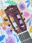 Traditional Flamenco Cordoba Guitar F10 With Foam Case