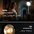 Neewer Q300d 300ws Flash W wireless Trigger  7800mah Battery