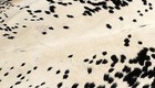 100  New Cowhide Rugs Area Cow Skin Leather  58  X 55   Cow Hide Sa-1185
