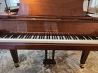 Yamaha Gc1  Baby Grand Piano  mahogany Walnut 