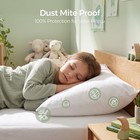 Microban Cotton Pillow Protector Dust Mite Proof  Oeko-tex  Zippered  2 4 6 Pack