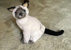 Russ Yomiko Classics Siamese Kitty Cat Blue Eyes Cream Plush Stuffed Animal 10in