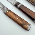 Vintage Hand Forged Fixed Blade Knife Set Of 3 Custom Handmade Rustic Wood