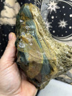 4lb Blue Mountain Orbicular Porcelain Picture Of Jasper Lapidary Rough