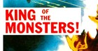 Godzilla - King Of The Monsters  1956  - 14 x36  Insert - Monster Movie Poster 