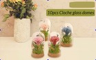 10x Display Dome With Base Glass Cloche Display Case