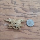 Us Navy Seals Special Warfare Gold Trident Insignia Badge Pin Clutch Back