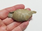 Wwi Zeppelin L31 Relic Framed Shot Down Potters Bar 1916 German Airship Plane