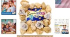 Educational Geode Discovery Kit  25 Large Hollow Geodes  90  Crystal Surprise