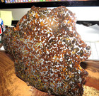702 Gm Etched Sericho Pallasite Meteorite Slice  Slab Kenya Olivine Jal 1 54 