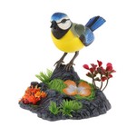 Chirping Dancing Bird Singing Chirping Birds Toy Motion Sensor Activation
