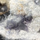 Rare Morandi Qr Fluorite