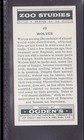 Wolves - 80   Year Old English Tobacco Card   49